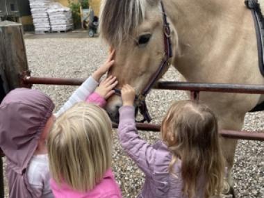 Børn der klapper en hest
